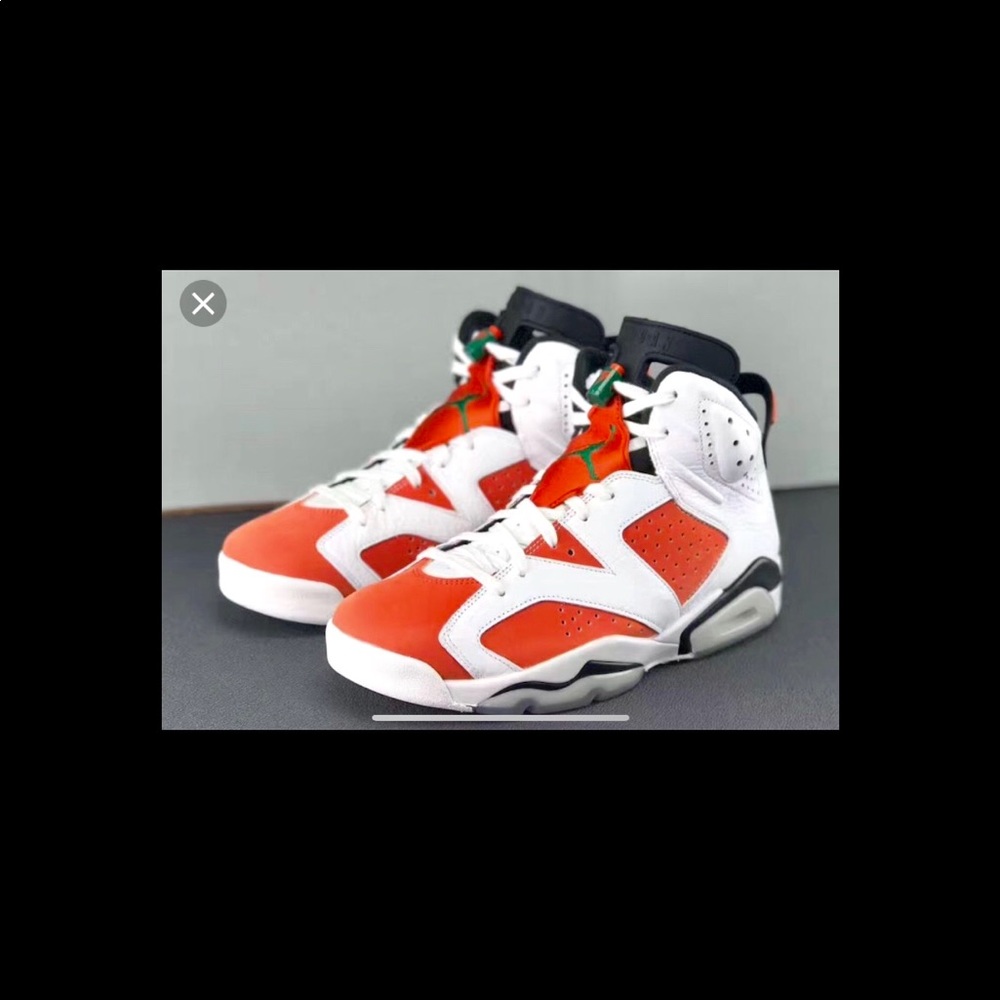 Nike Air Jordan #6 “Gatorade”